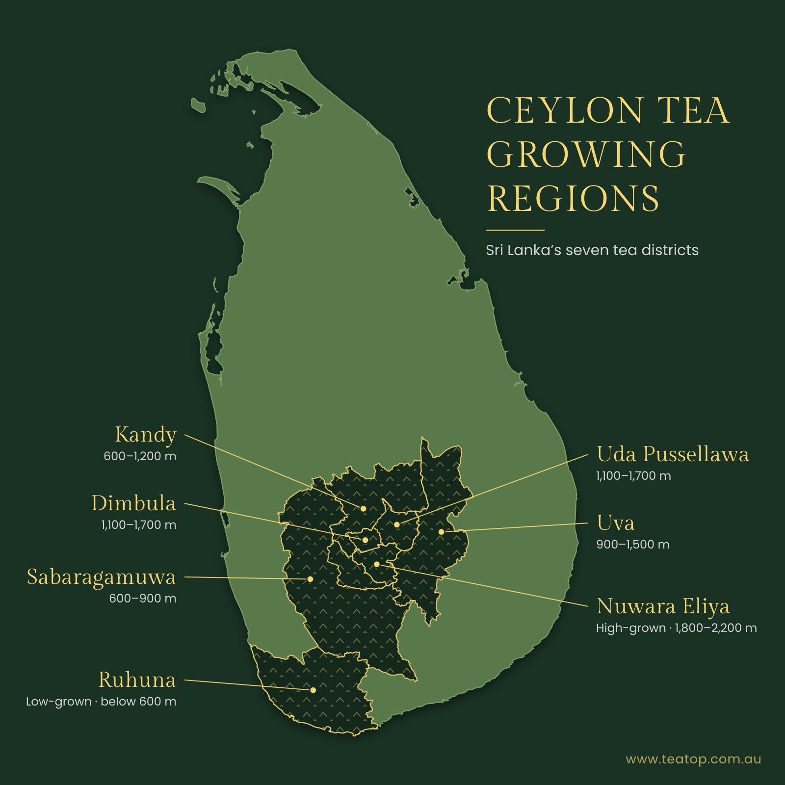 Map of Sri Lanka showing the seven Ceylon tea growing regions: Nuwara Eliya, Dimbula, Uda Pussellawa, Uva, Kandy, Sabaragamuwa and Ruhuna